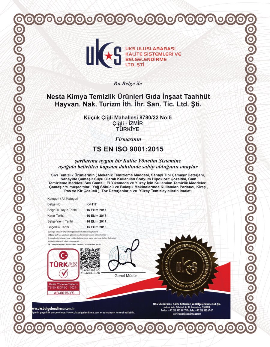  TS EN ISO 9001:2015